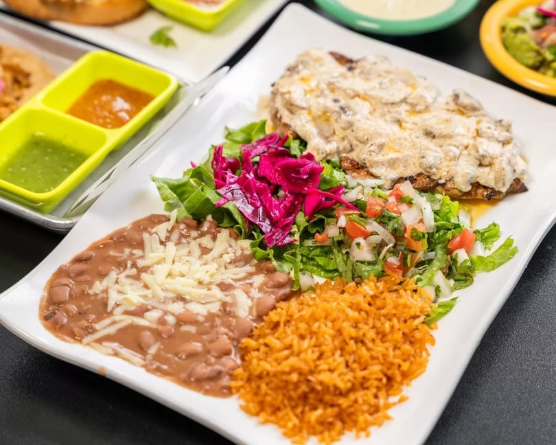 A white plate with chicken in cream sauce, rice, refried beans, and two types of salad.
